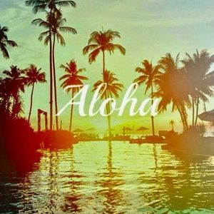 Meet your Posher, Kelli